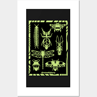 Bug Poster Posters and Art